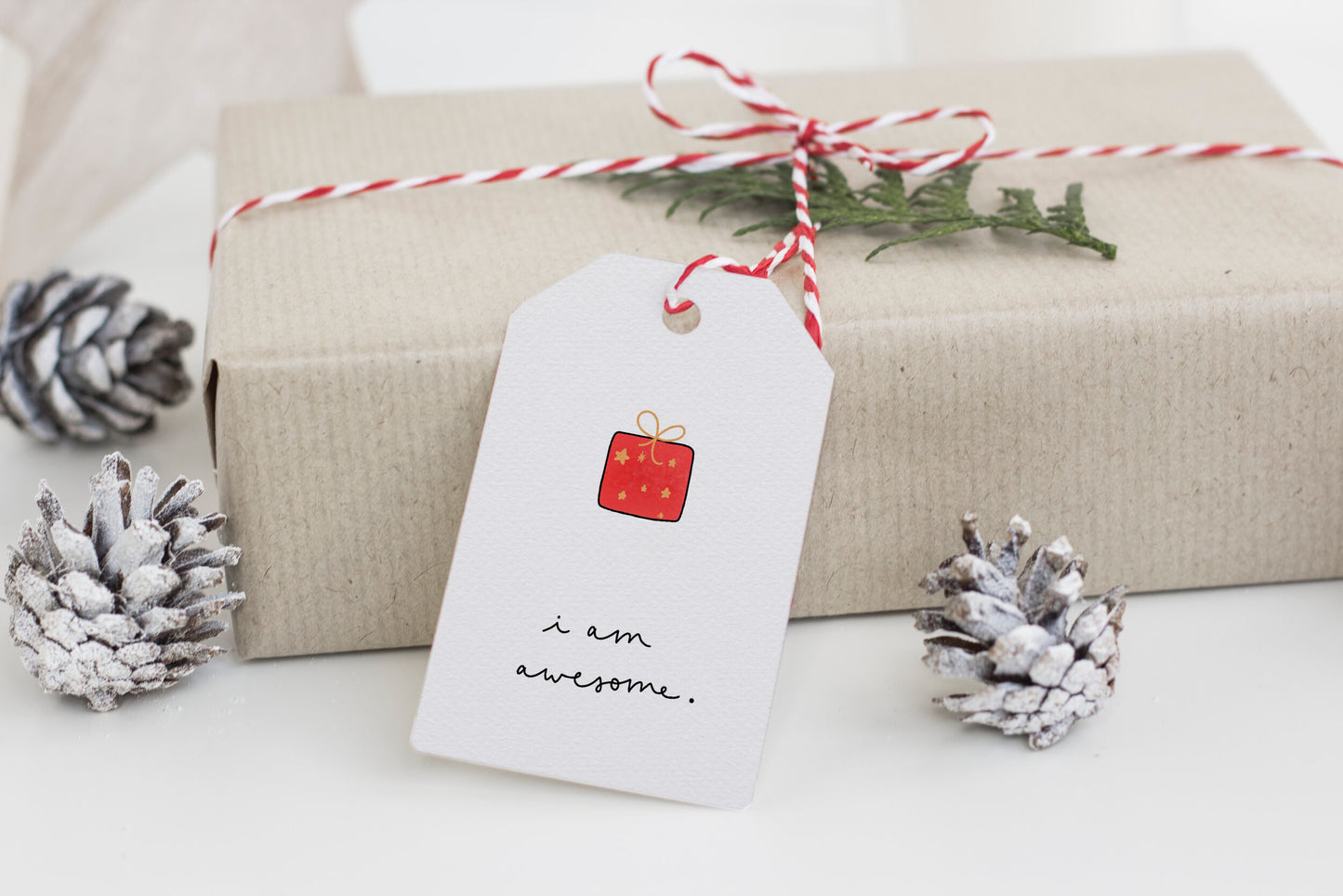 Funny Christmas gift tags - pack of five