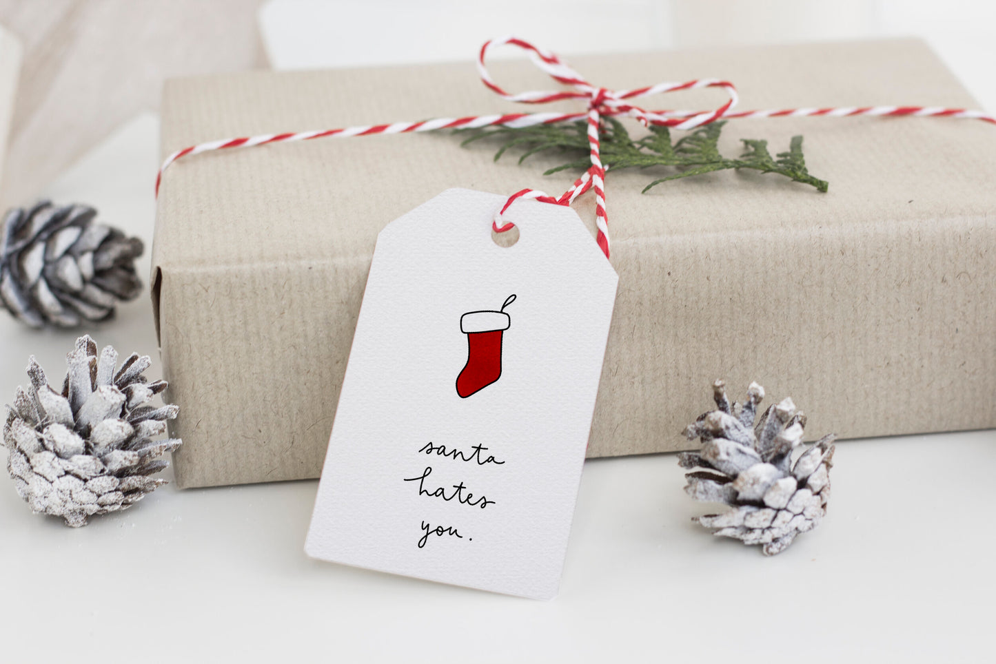 Funny Christmas gift tags - pack of five