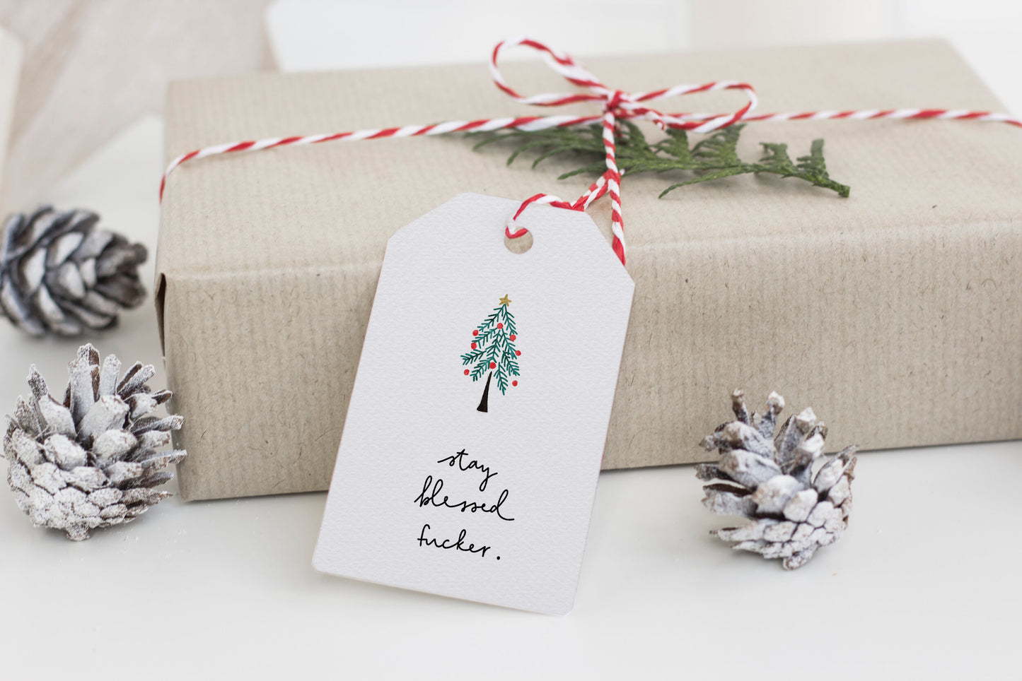 Funny Christmas gift tags - pack of five