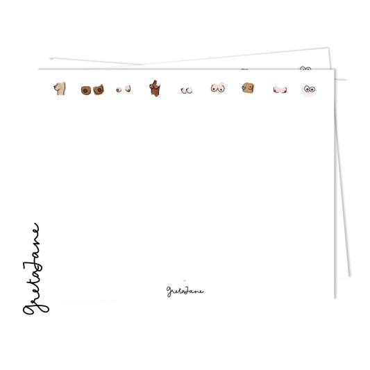 The boobies note card set